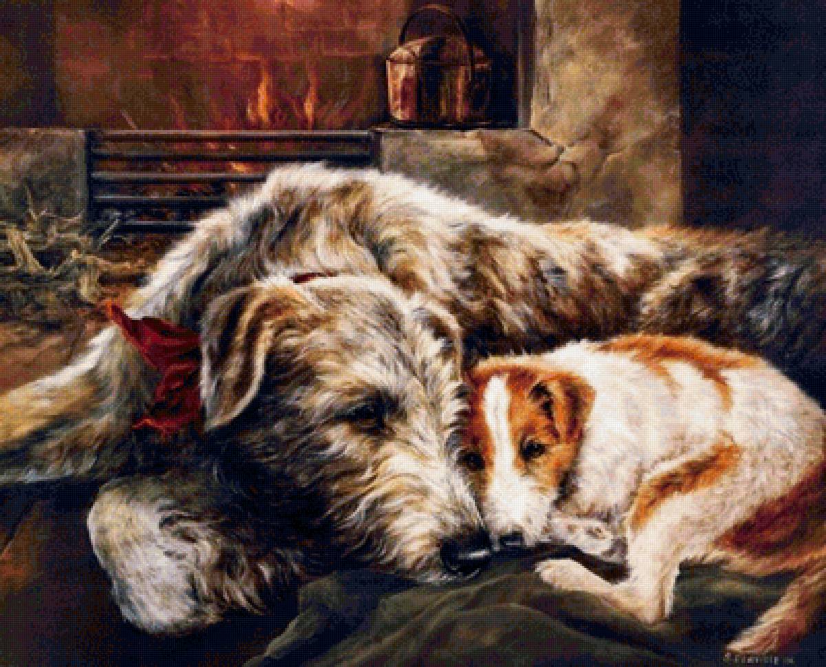 Собаки - животные - предпросмотр