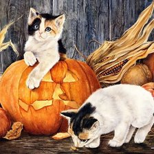 Схема вышивки «Котята»