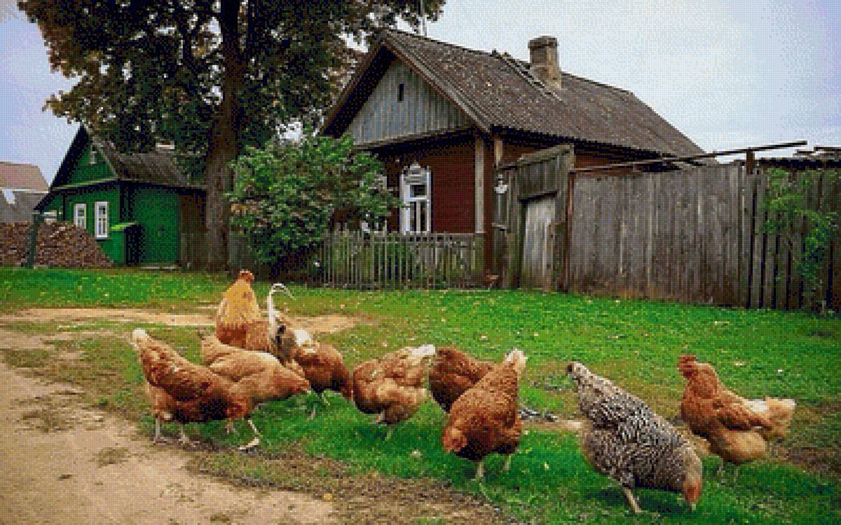 №1620553 - предпросмотр