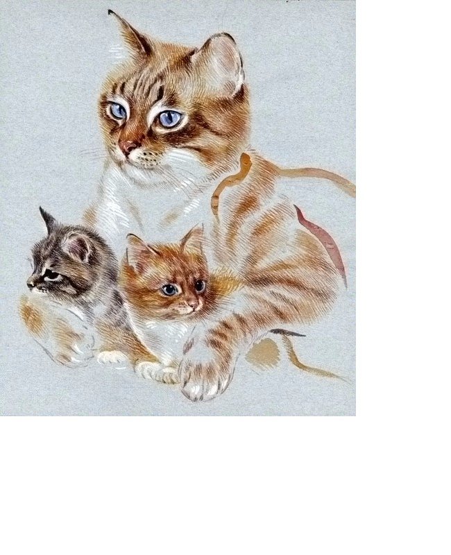 №1620609 - оригинал