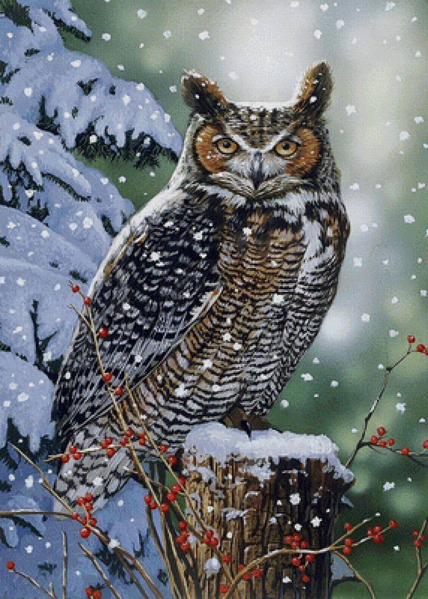 Филин - филин - предпросмотр