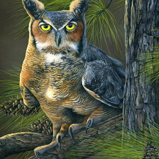 Схема вышивки «№1620695»