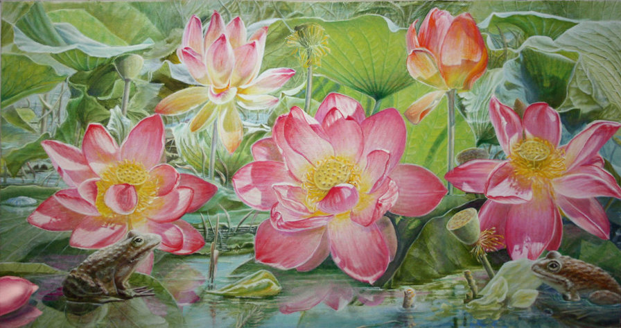 Лягушки - цветы, вода - оригинал