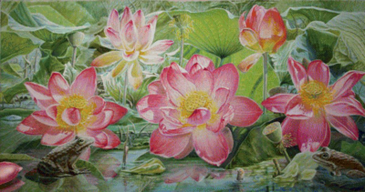 Лягушки - цветы, вода - предпросмотр