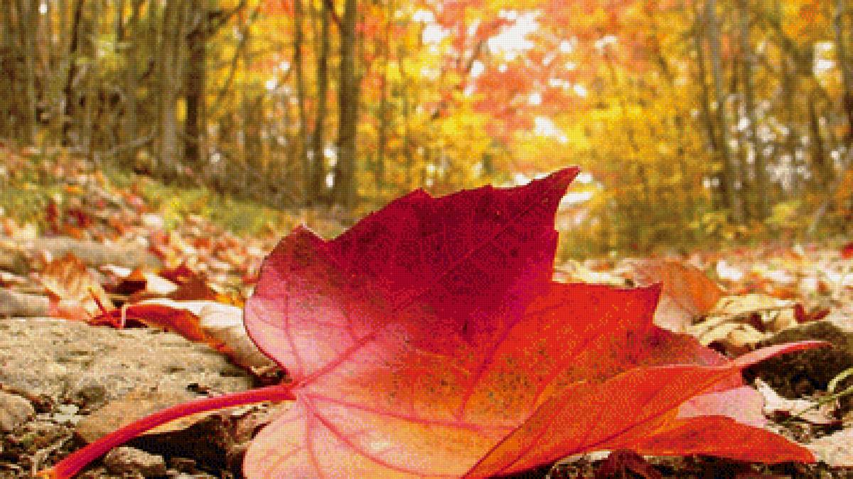 осень - предпросмотр