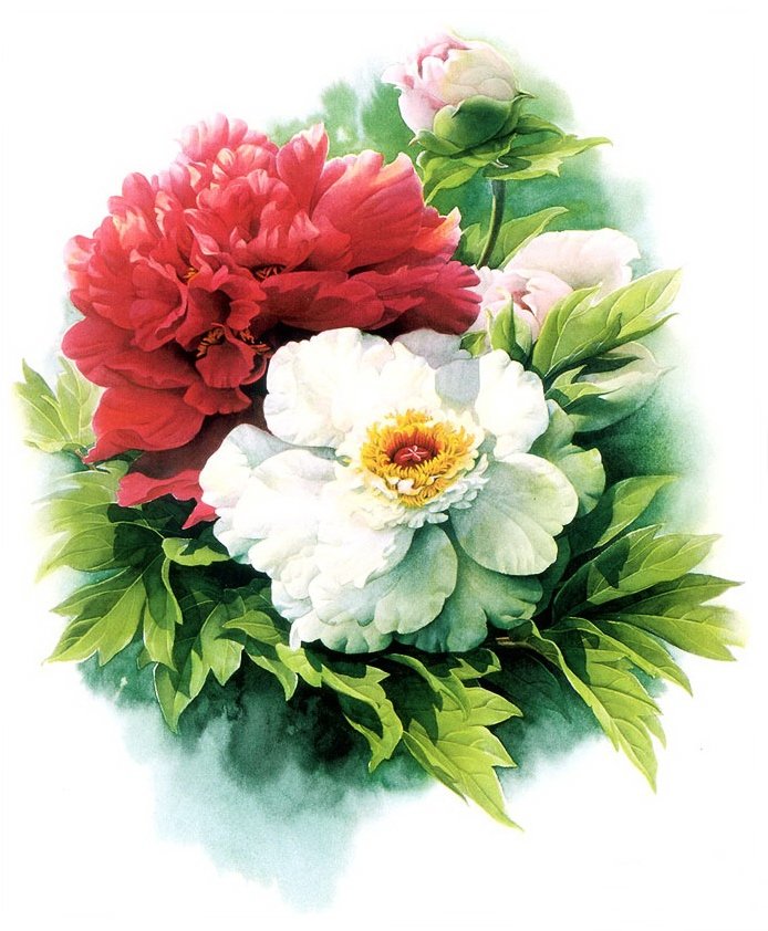 Пионы - оригинал