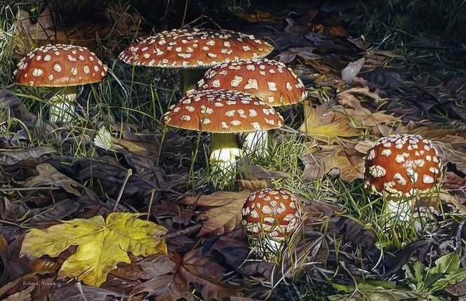 Мухоморы - оригинал