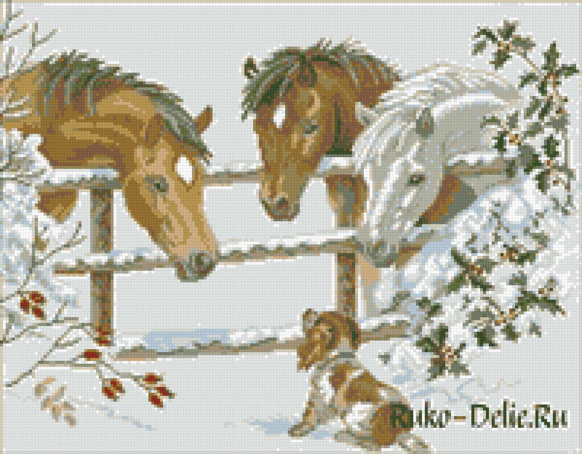 кони - пес, кони - предпросмотр