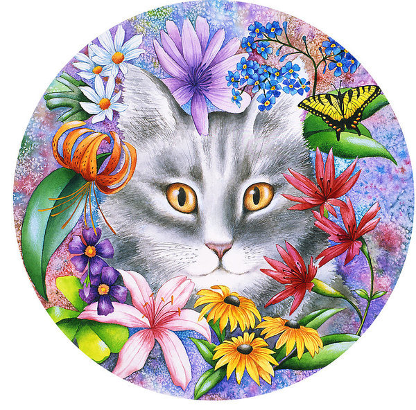 Кот - животные - оригинал