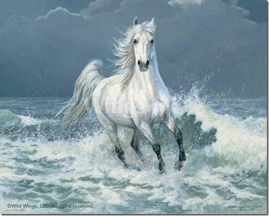 белая лошадь - животные, картина, природа - оригинал