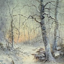 Оригинал схемы вышивки «морозное утро в лесу» (№1621751)