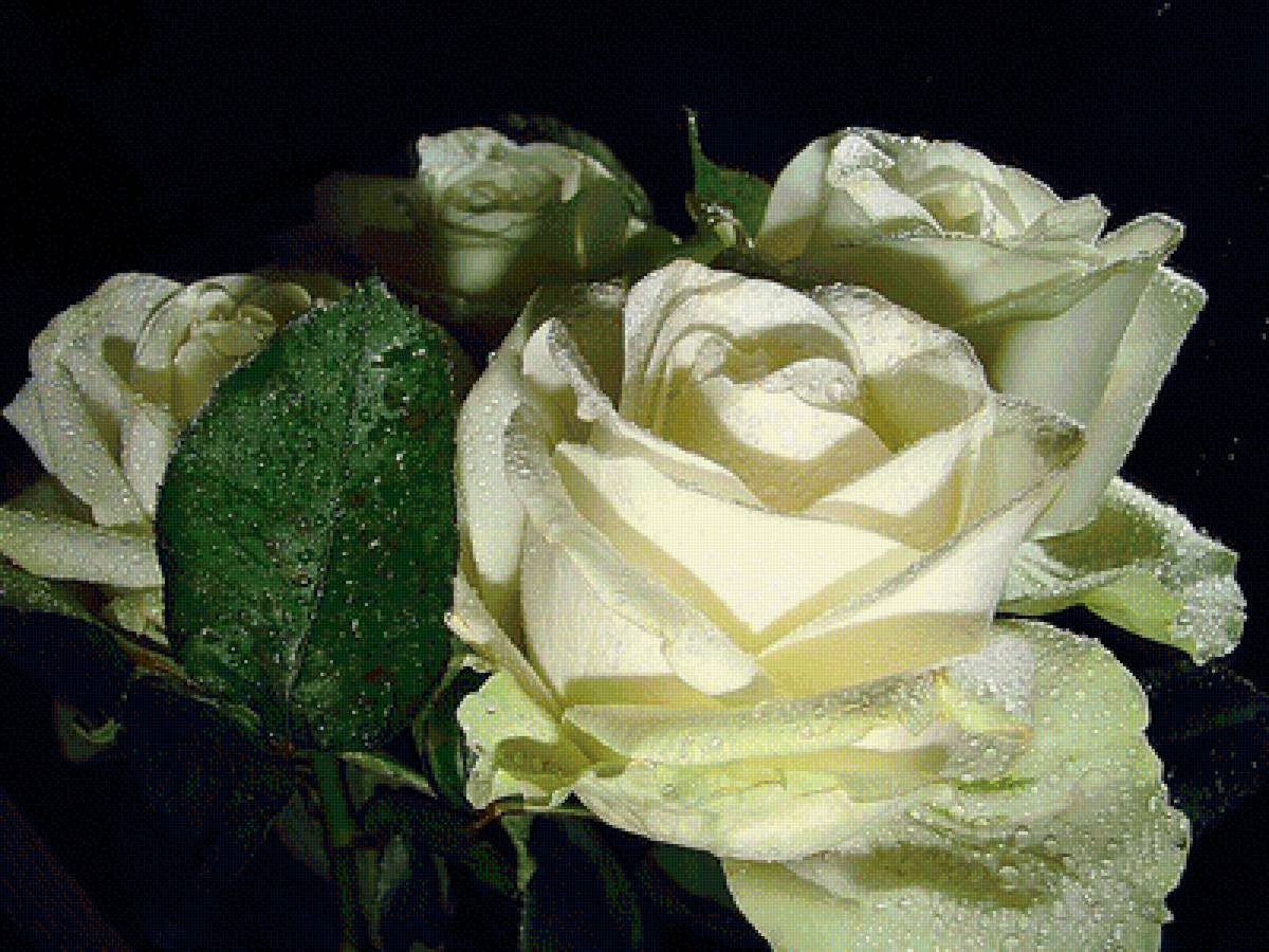 №1621873 - предпросмотр