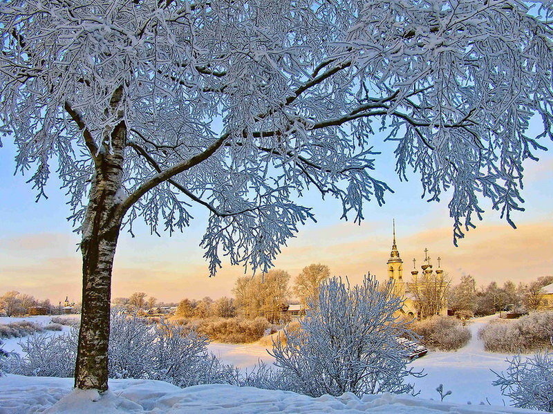 №1621992 - оригинал