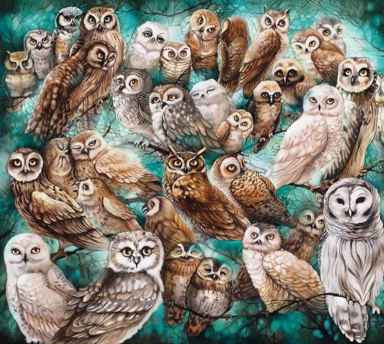 Совы - оригинал