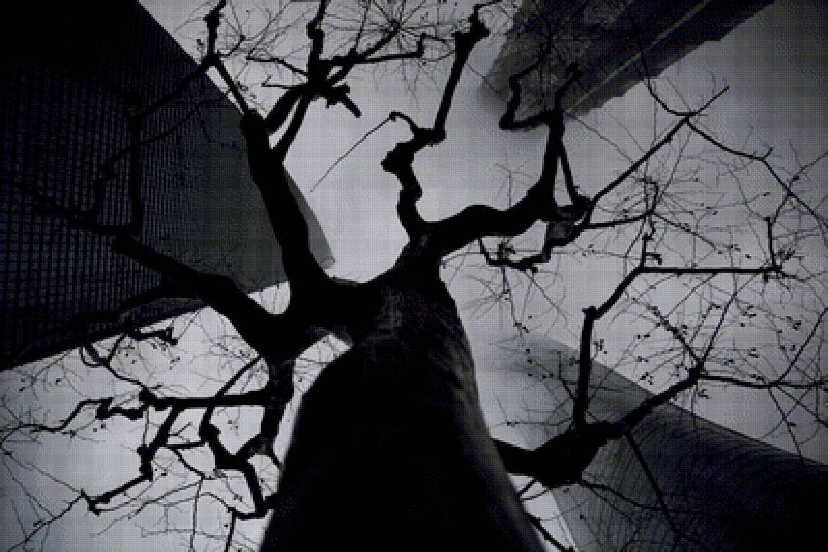 Город - небоскреб, древо, город, сити - предпросмотр