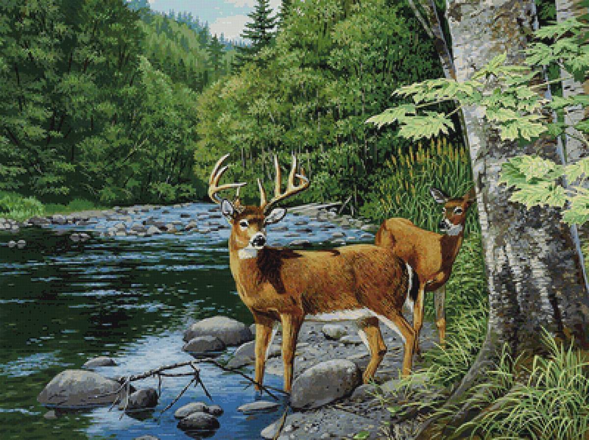 Природа - природа - предпросмотр