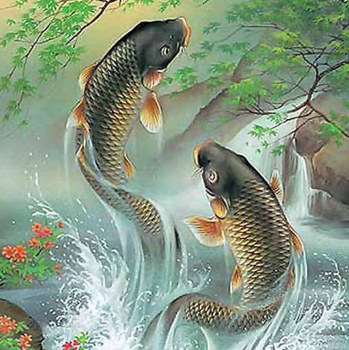 Карпы - удача, рыбы, карпы - оригинал