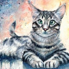 акварельный котик