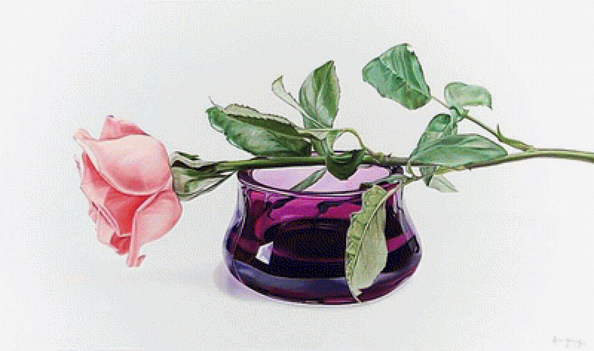 №1622489 - роза. - предпросмотр