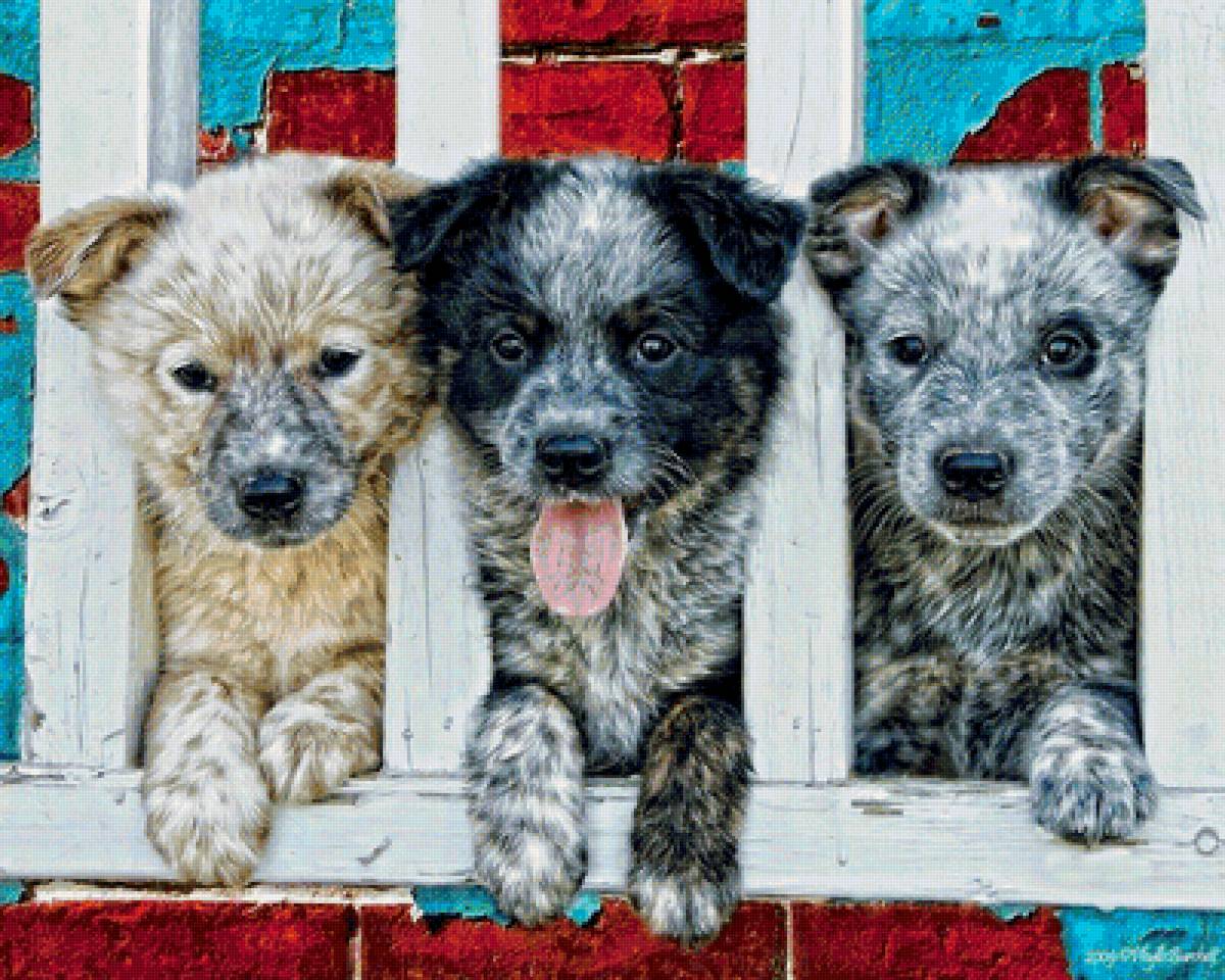 №1622505 - предпросмотр