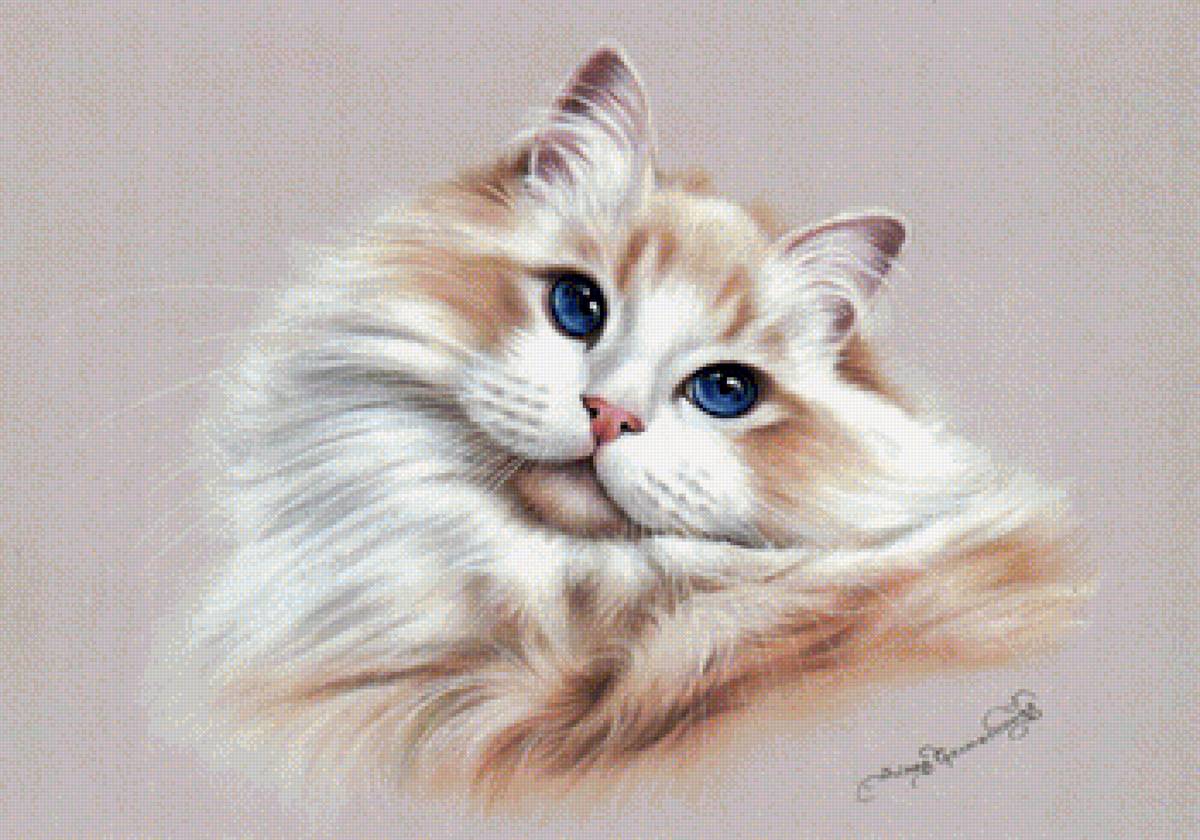 kotek - предпросмотр