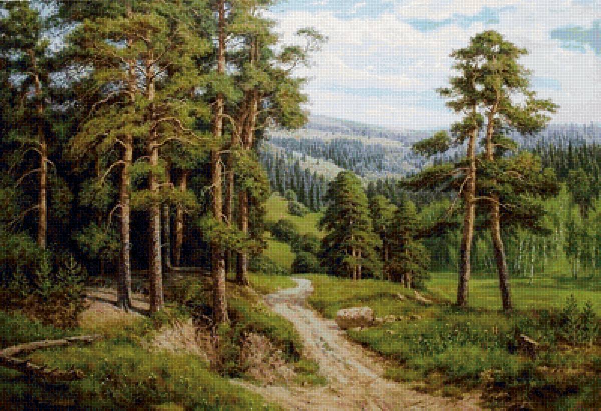 Сосны - лес, деревья, лето - предпросмотр