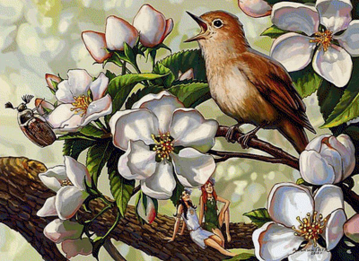 Птичка певчая - цветы, весна, птички, соловей - предпросмотр