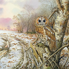 Схема вышивки «сова»