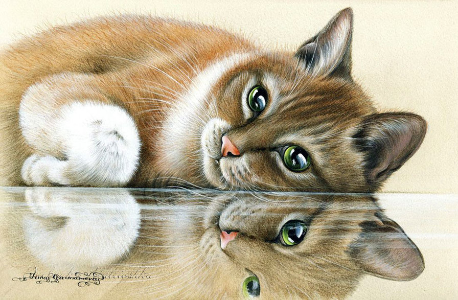 Отражение - коты - оригинал