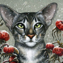 Схема вышивки «№1622990»