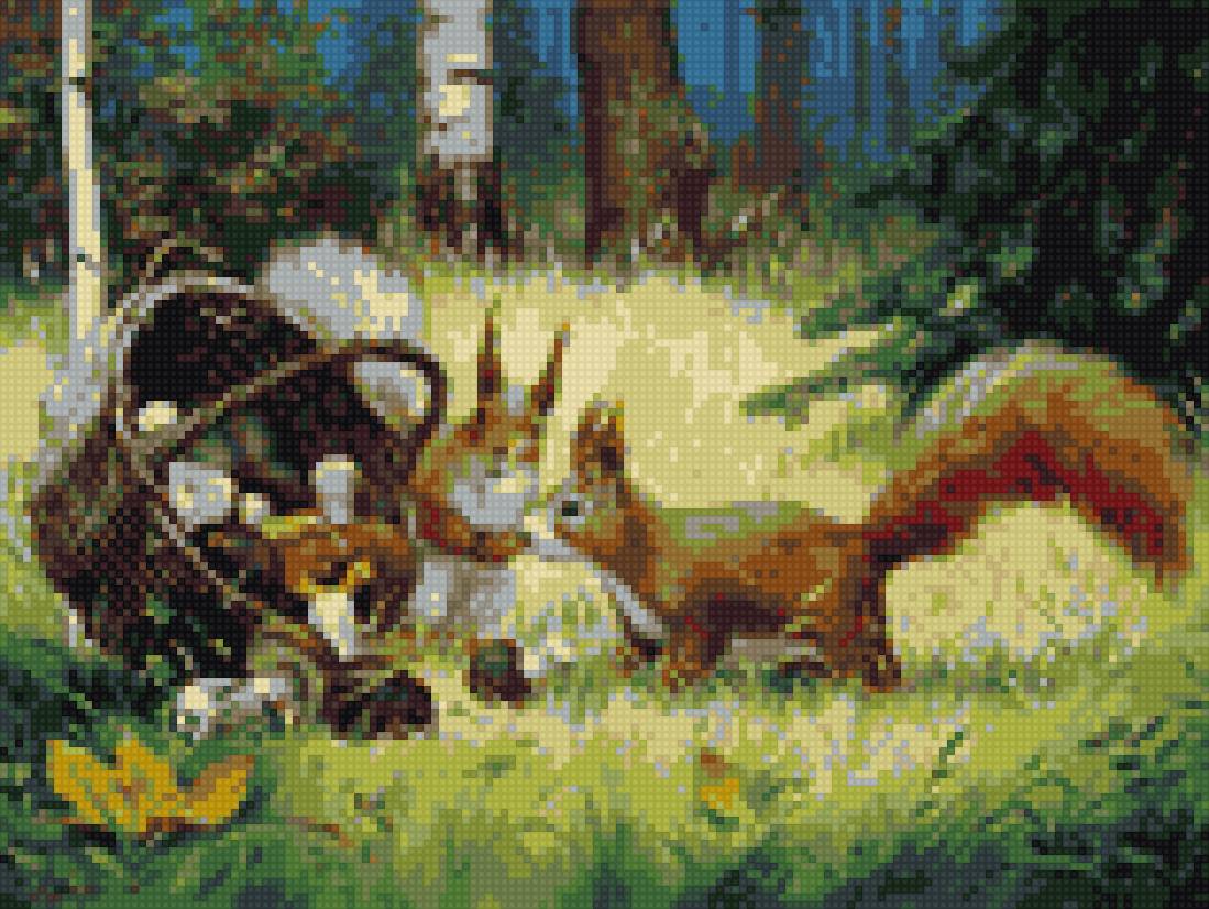 білки - ліс, поляна - предпросмотр