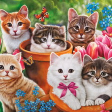 Схема вышивки «Коты»