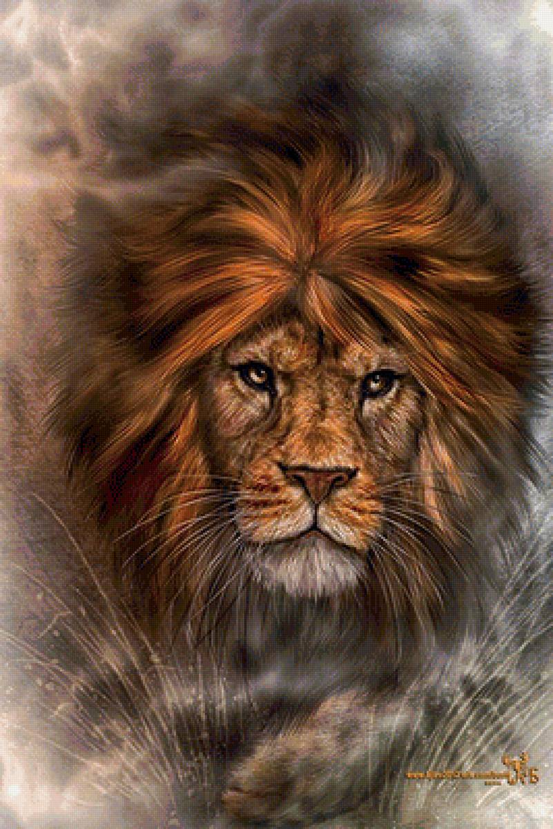 Лев - животные - предпросмотр