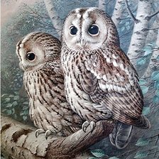 Схема вышивки «совушки»