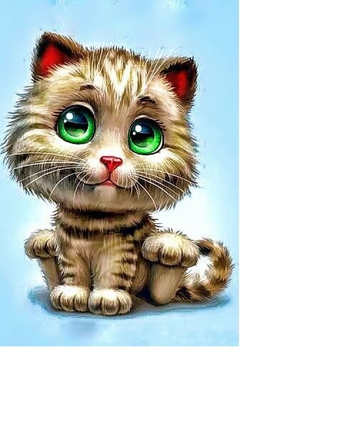 котик - оригинал