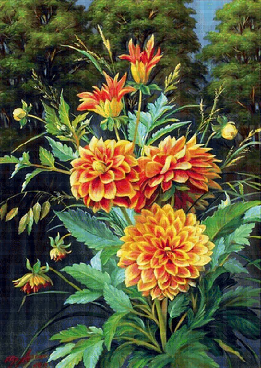 Георгины - предпросмотр