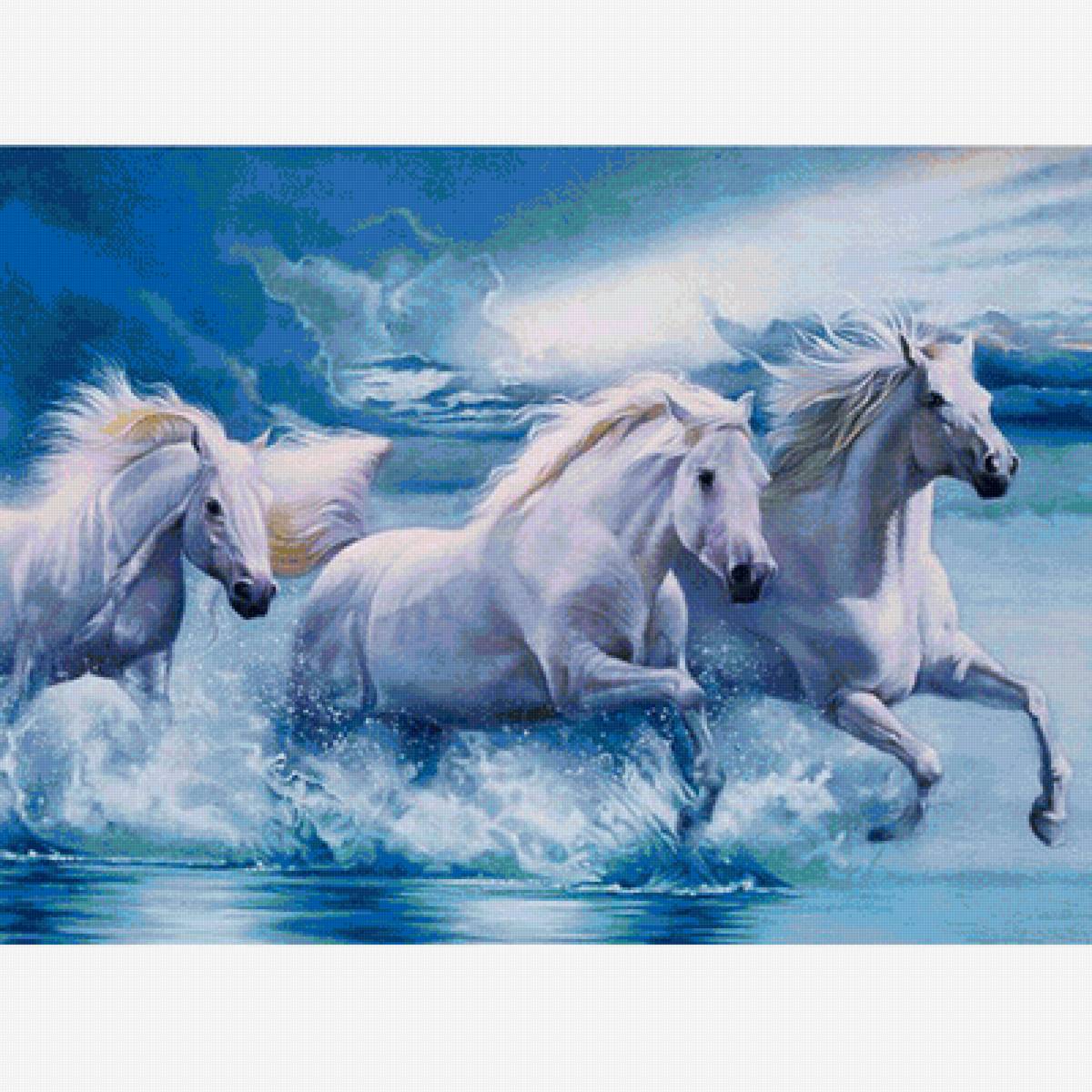 Кони - животные - предпросмотр