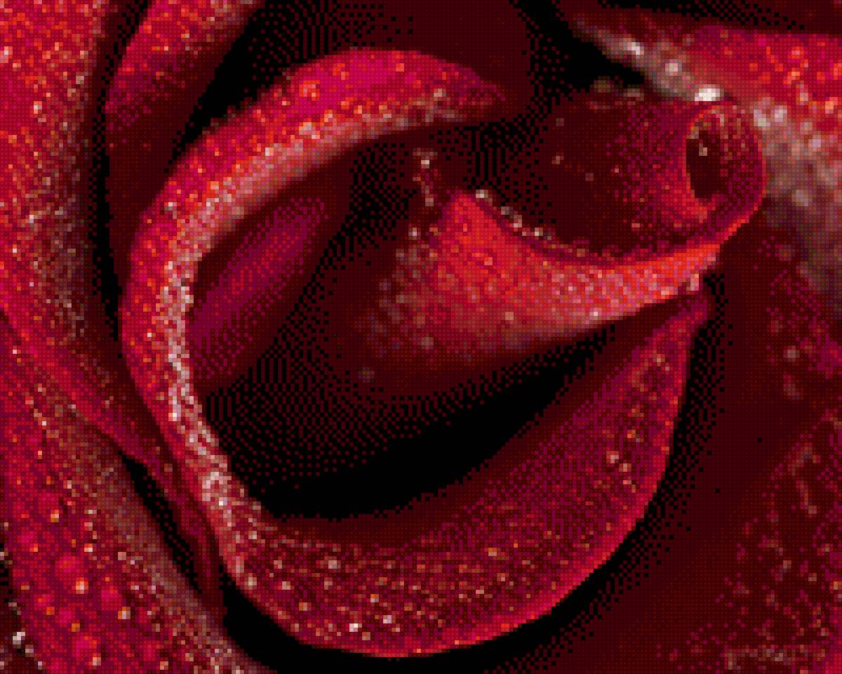 Розовый аромат - предпросмотр