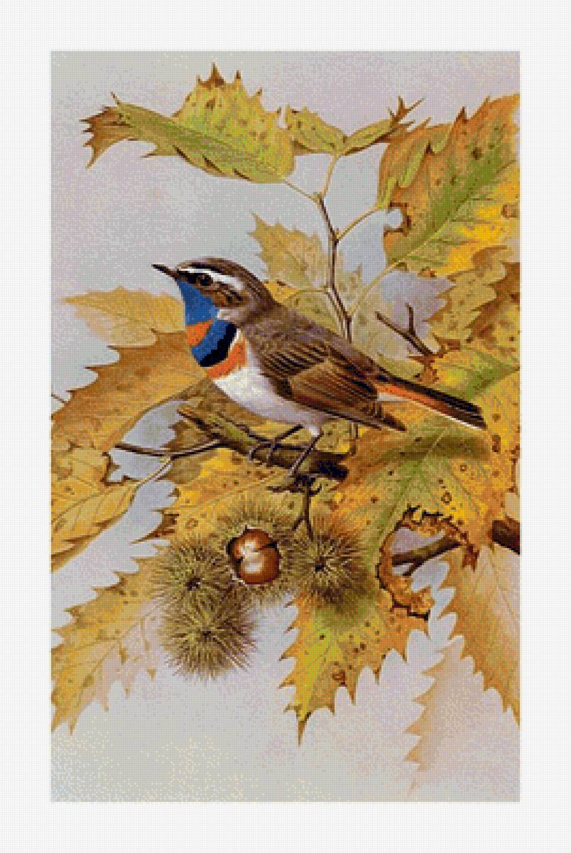 №1624629 - предпросмотр