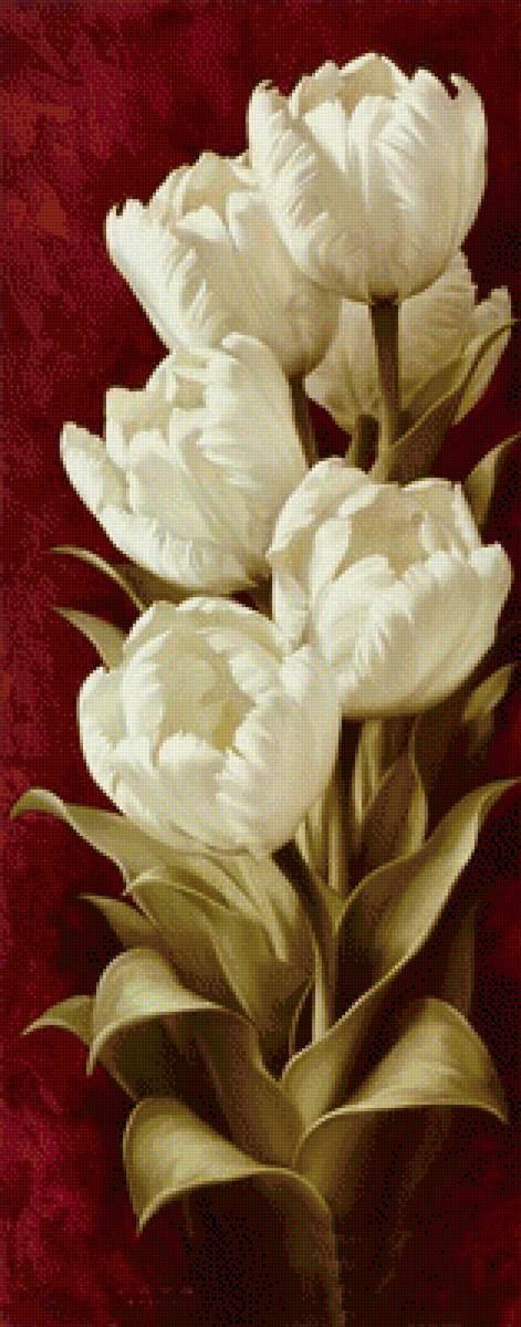 Тюльпаны - белые цветы, белые тюльпаны, светлые, тюльпаны, цветы, белые - предпросмотр