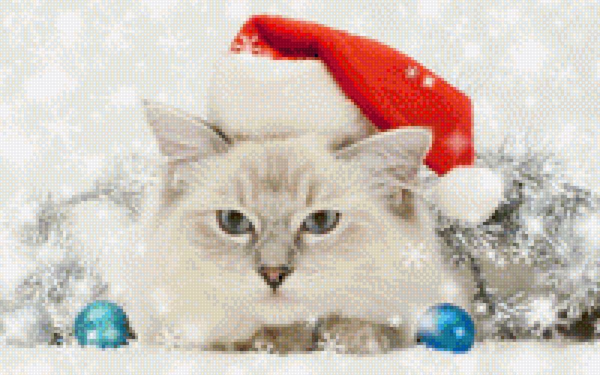 новогодний кот - шарики мишура кот шапка - предпросмотр