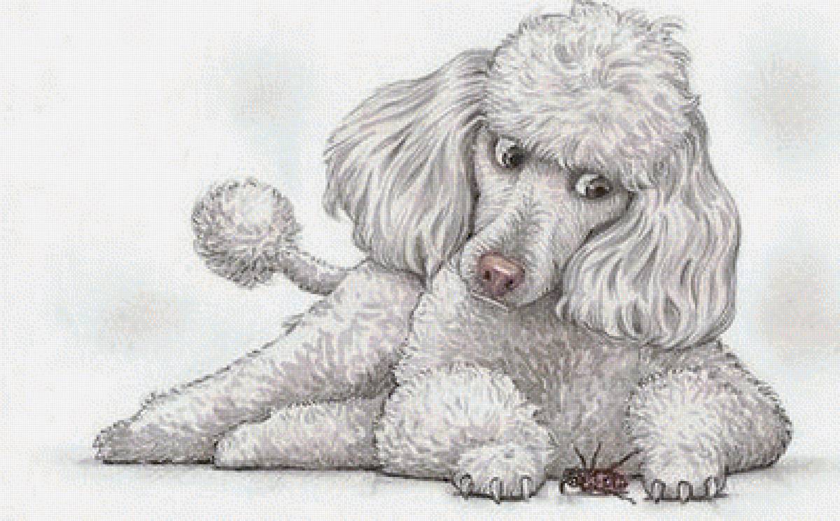 Щенок и жук - предпросмотр