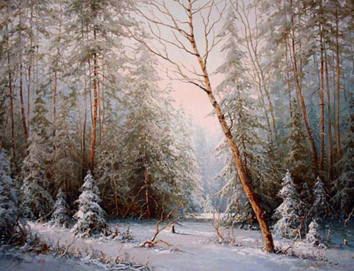 зимний лес - пейзаж, природа, зима - предпросмотр