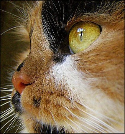 №1625328 - оригинал