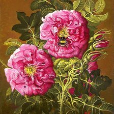 Схема вышивки «№1625420»