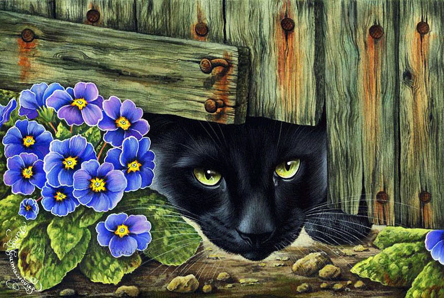 Наблюдатель - цветы, коты, забор - оригинал