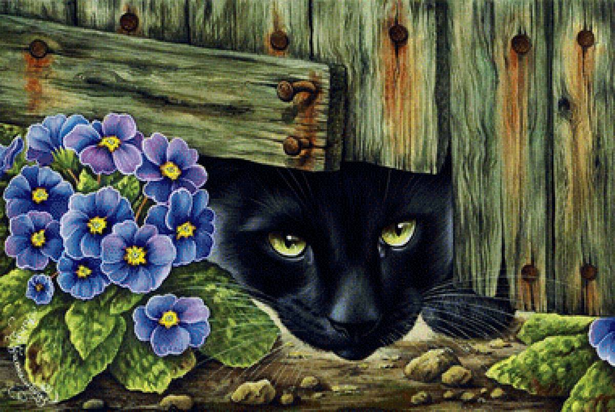 Наблюдатель - цветы, коты, забор - предпросмотр