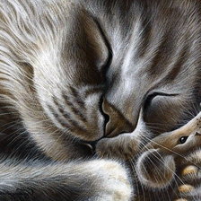 Схема вышивки «Кошки - мышки»