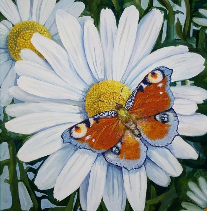 №1625968 - бабочка, ромашки - оригинал