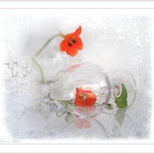 Схема вышивки «№1625976»